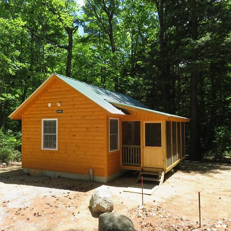 Okie Dokie Cabins Tamworth Kültér fotó