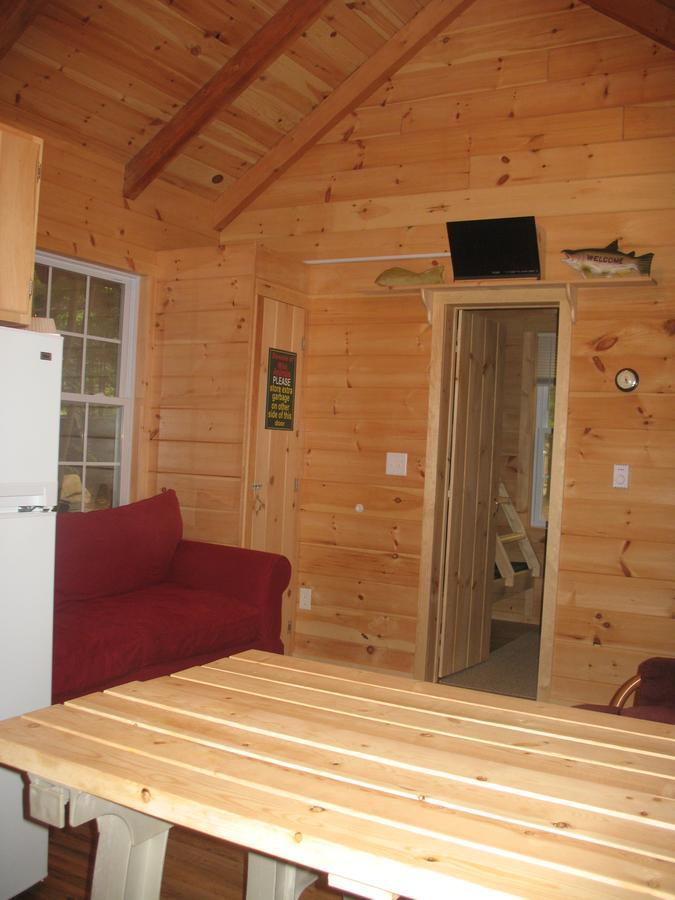 Okie Dokie Cabins Tamworth Kültér fotó